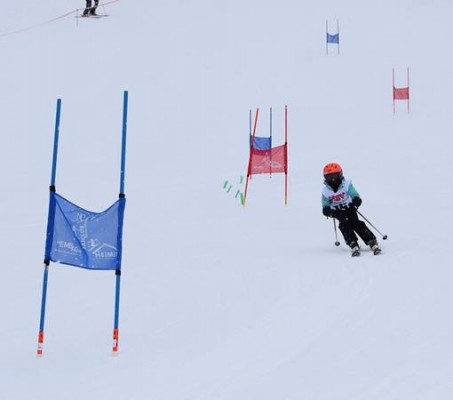 Normal x DSC 0838 (2)